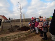100.výročí vzniku Československé republiky - výsadba stromů Alej republiky na Vlkavě